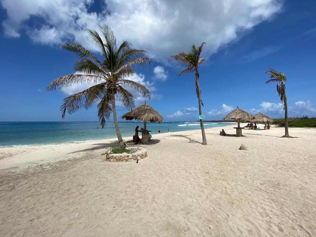 Luxury Ocean View Condo @ Aruba'S Palm Beach Dış mekan fotoğraf