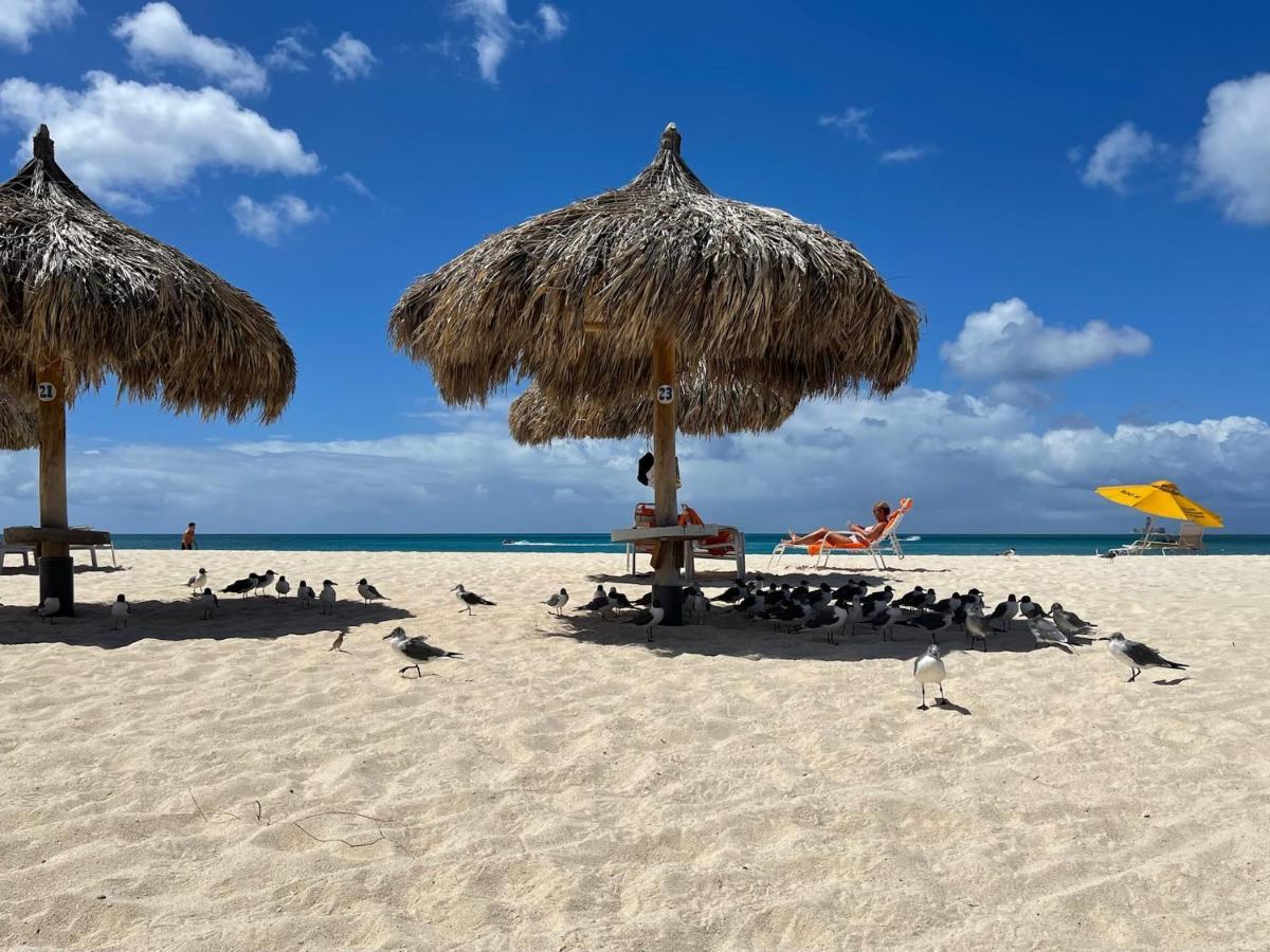 Luxury Ocean View Condo @ Aruba'S Palm Beach Dış mekan fotoğraf