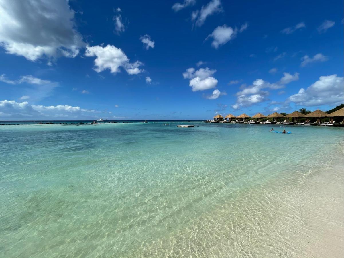 Luxury Ocean View Condo @ Aruba'S Palm Beach Dış mekan fotoğraf